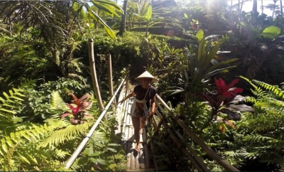 Things to do in Bali