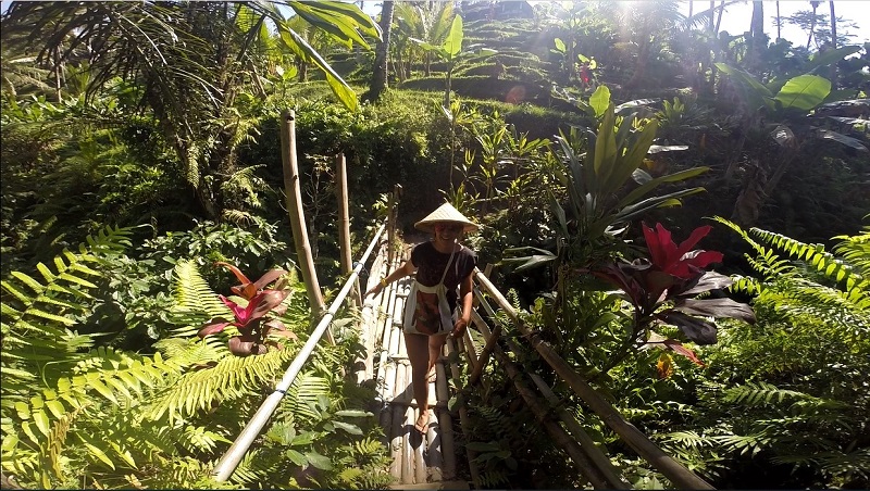 Things to do in Bali