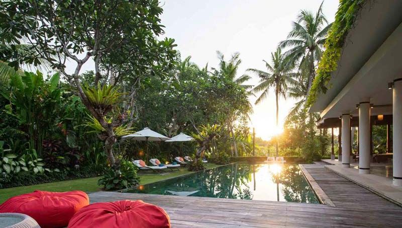 Canggu villas: Your guide to the best villas in Canggu, Bali