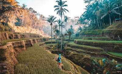 Bali weather: When is the best time to visit bali?