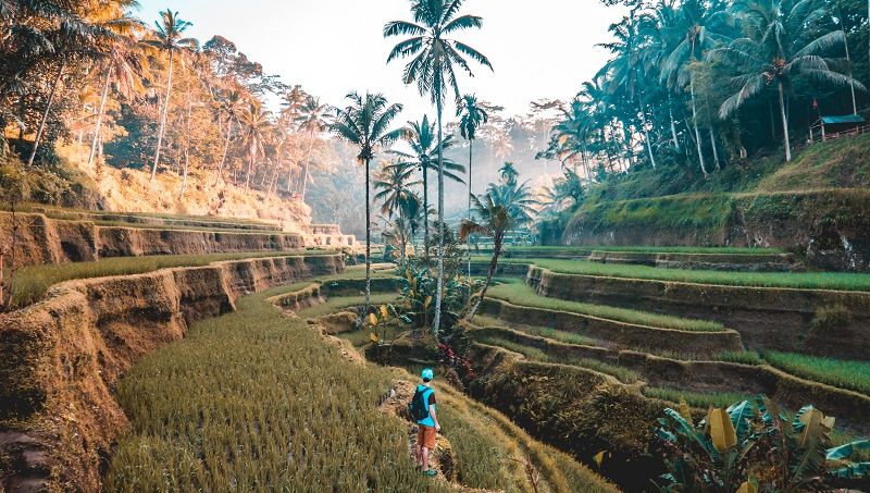 Bali weather: When is the best time to visit bali?